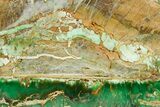 Polished Variscite Slab - Australia #353716-1